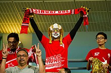 A LionsXII fan showing his support for the team by having his face painted like a lion LionsXII supporters at a home game - 2013.jpg