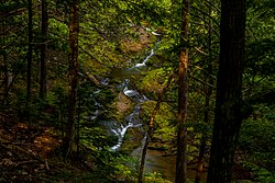 Küçük Union River Gorge PLC-WF-15.jpg