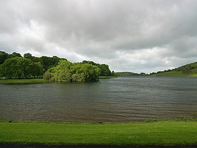 The north end of Lough Gur reaches up to a maintained lawn at the visitor area at the lake. The clump of trees jutting out into the water hide the site of a crannog Lough gur.jpg