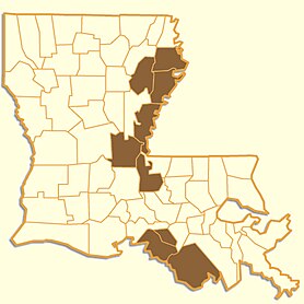 The range of Louisiana Black Bears in Louisiana, highlighting areas of the Atchafalaya River Basin and close to Mississippi. Regions disconnected.