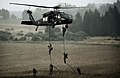 Soldiers of the Jagdkommando rope down a Sikorsky UH-60 Black Hawk