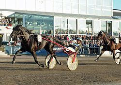 Hipódromo de Åby