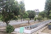 Bahasa Indonesia: Makam para korban kecelakaan pesawat haji yang jatuh di Colombo, Srilanka pada tanggal 15 November 1978. English: Cemetery of the victims of the Hajj plane crash that crashed in Colombo, Sri Lanka on November 15, 1978. Banjar: Kuburan bubuhan jamaah haji nang manjadi kurban gugurnya pasawat haji di Colombo, Srilanka pada tanggal 15 Nupimbir 1978.