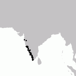 Distribución del cálao gris malabar
