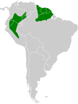 Distribución geográfica del buco pechiblanco.