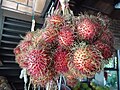 Malaysian Fruits- Malaysia