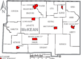 Kaart van McKean County