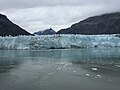 Thumbnail for File:Margerie Glacier, Aug 2016.jpg