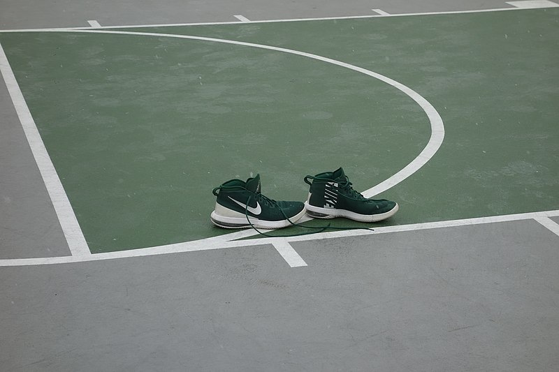 File:Mauro Playground td (2021-01-26) 063 - Basketball Courts, Nike Air Max Dominate.jpg