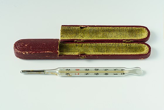 Medical mercury thermometer in front of its velvet-lined protective cardboard box. Hand-painted numerals.