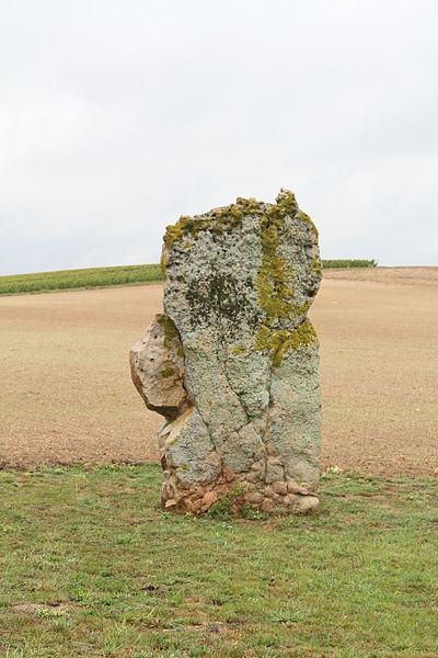 File:Menhir de l'étang de Chénevry vue de près.JPG