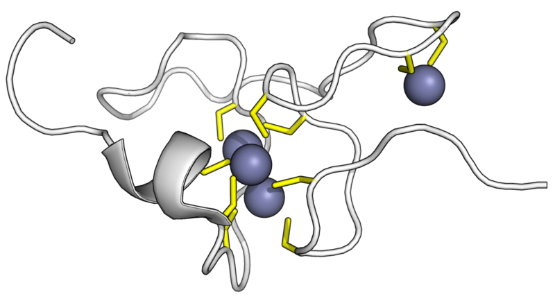 File:Metallothionein 2kak.png