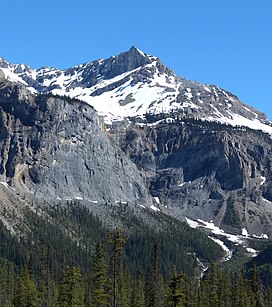 Michael Peak seen from Emerald Lake.jpg