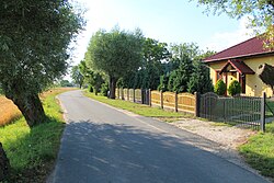 Haus am Straßenrand in Moraczewo