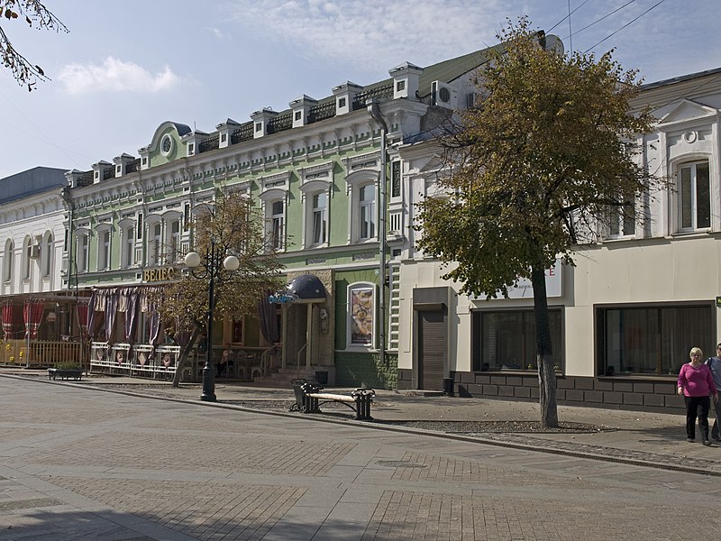 File:Moskovskaya Street 66 Penza.jpg