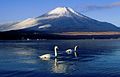 Mount Fuji from Lake Yamanaka 1994-12-10.jpg