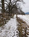 Čeština: Krajina na území přírodního parku Kašperská vrchovina, okres Klatovy - ČR English: Landscape in nature park Kašperská vrchovina, Klatovy District in Czech Republic