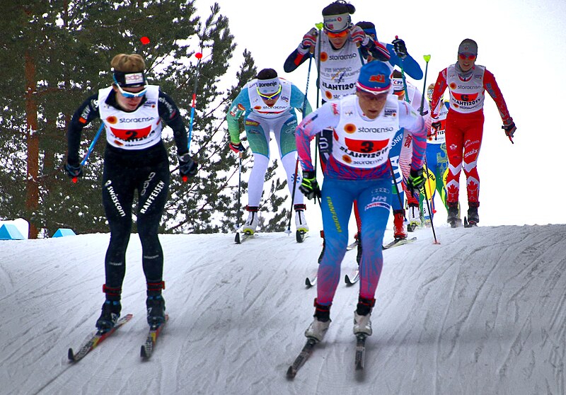 File:Nordic World Ski Championships 2017-02-26 (33229848805).jpg