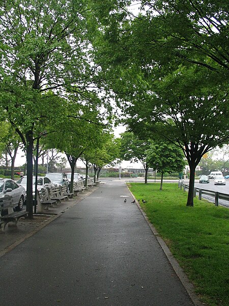 File:Ocean Parkway & Brighton Beach Avenue - Walking path 1.jpg