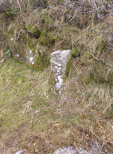 File:Old Boundary Marker west of Sampford Spiney - geograph.org.uk - 6045442.jpg