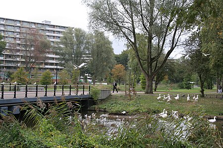 Openbaar Groen Bijlmermeer