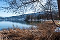* Nomination View of the Wörther See`s waterline and Maria Wörth on Hans-Pruscha-Weg, Pörtschach, Carinthia, Austria -- Johann Jaritz 03:02, 6 February 2023 (UTC) * Promotion  Support Good quality. --Rjcastillo 03:14, 6 February 2023 (UTC)