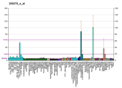 PBB GE NSDHL 209279 s در fs.png