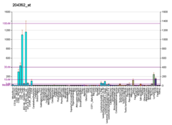 PBB GE TRAF5 204352 bei fs.png