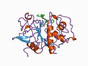 PDB 1au3 EBI.jpg