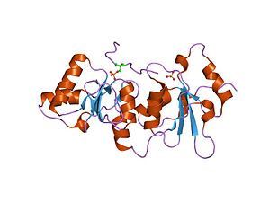 PDB 1y98 EBI.jpg