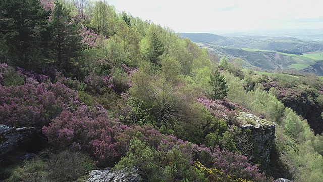 Paisaje y vegetación en la ladera oeste de la sierra