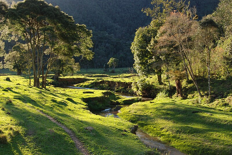 File:Parque Nacional da Serra do Itajaí.jpg