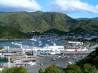 <span class="mw-page-title-main">Picton, New Zealand</span> Town in Marlborough, New Zealand