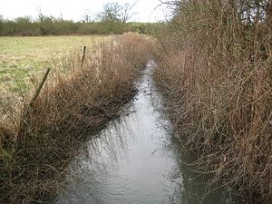 Pincey Brook