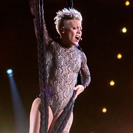 Pink's Greatest Hits... So Far!!! album was the best selling album of the year and spent 13 weeks at number one (6 in 2010 and 7 in 2011) Pink Grammys 2014 (cropped).jpg