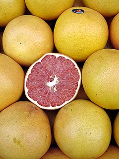 Citrus paradisi