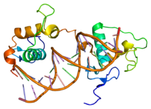 Protein RARB PDB 1dsz.png