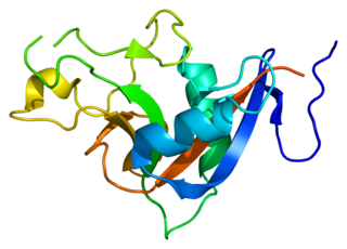 <span class="mw-page-title-main">REG3A</span> Protein-coding gene in the species Homo sapiens