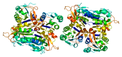 Протеин TK1 PDB 1w4r.png