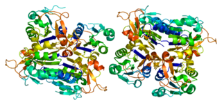 <span class="mw-page-title-main">Thymidine kinase 1</span> Human protein and coding gene