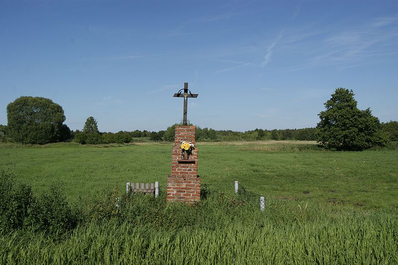 File:Przydrożny krzyż - panoramio (6).jpg