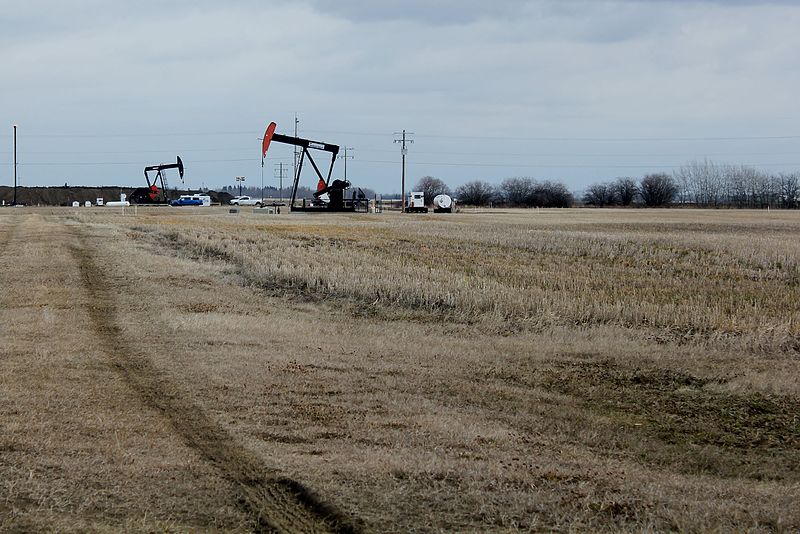 File:Pumpjacks on Leduc-Woodbend Oilfield.JPG