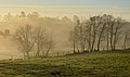 Français : Paysage d'hiver dans les collines, matin de brume, Pérignac, Charente, France. English: Winter landscape in the hills, on a hazy morning, Pérignac, Charente, France. I, the copyright holder of this work, hereby publish it under the following license: This file is licensed under the Creative Commons Attribution-Share Alike 3.0 Unported license. :You are free: :* to share – to copy, distribute and transmit the work :* to remix – to adapt the work :Under the following conditions: :* attribution – You must give appropriate credit, provide a link to the license, and indicate if changes were made. You may do so in any reasonable manner, but not in any way that suggests the licensor endorses you or your use. :* share alike – If you remix, transform, or build upon the material, you must distribute your contributions under the same or compatible license as the original. https://creativecommons.org/licenses/by-sa/3.0CC BY-SA 3.0 Creative Commons Attribution-Share Alike 3.0 truetrue