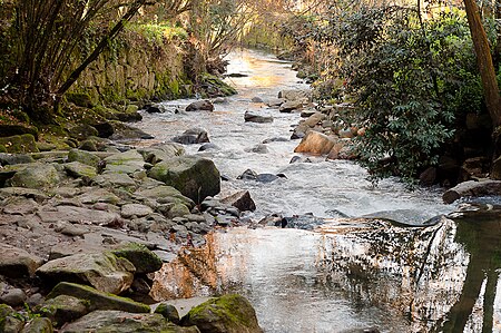 Río Lagares, decembro 2011