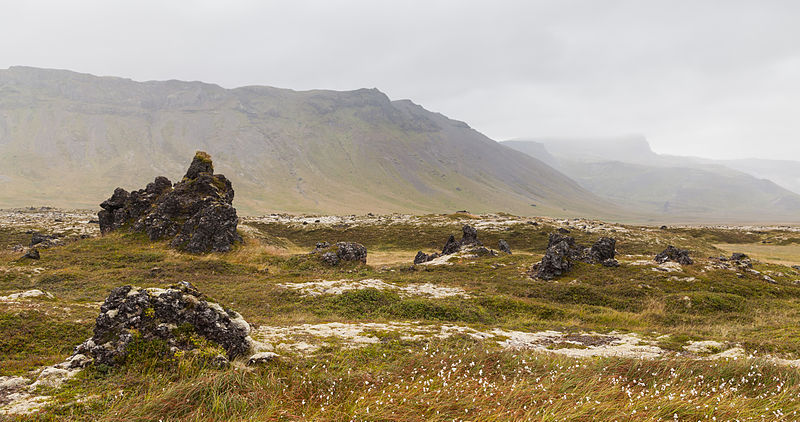 File:Región de Búðahraun, Vesturland, Islandia, 2014-08-14, DD 047.JPG