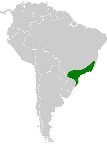 File:Rhopias gularis map.svg