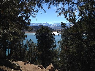 <span class="mw-page-title-main">Ridgway State Park</span> State park in Colorado, United States