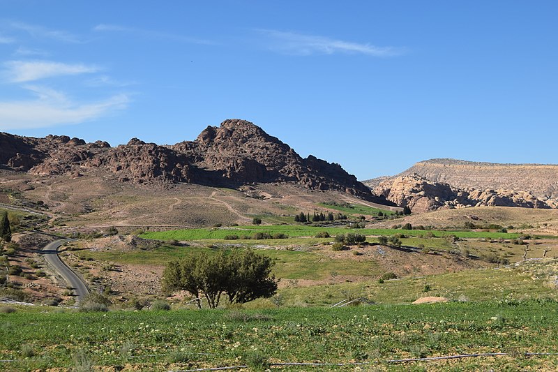 File:Road From Little Petra to Wadi Araba.jpg