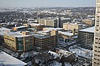 Rochester, Minnesota, USA - Widok na miasto