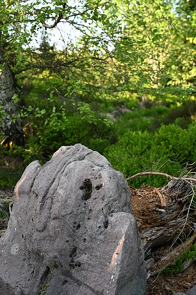 File:Rock in nature.jpg